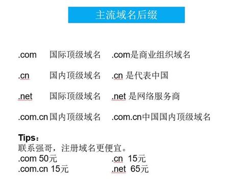 中文域名费用:域名续费多少钱一年