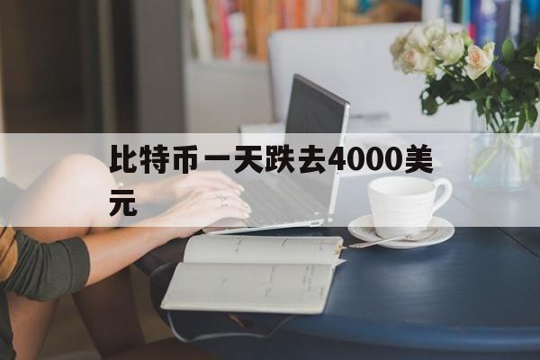 比特币一天跌去4000美元的简单介绍