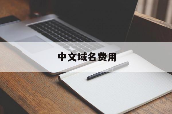 中文域名费用:(com域名多少钱一年)