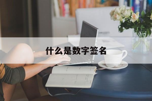 什么是数字签名:(123数字签名设计免费版)