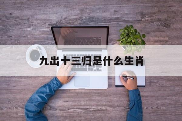 九出十三归是什么生肖:(左9右4共13画是什么生肖)