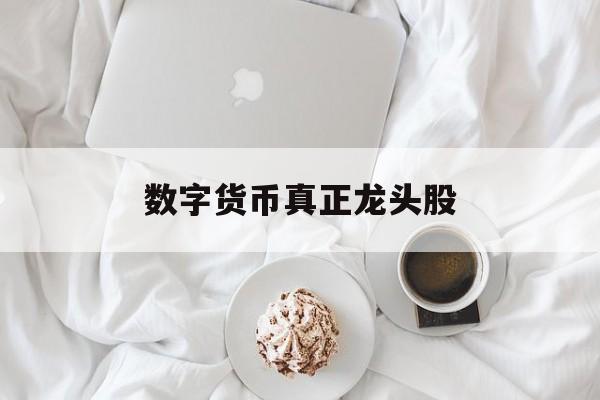 数字货币真正龙头股:(最正宗的数字货币龙头股)
