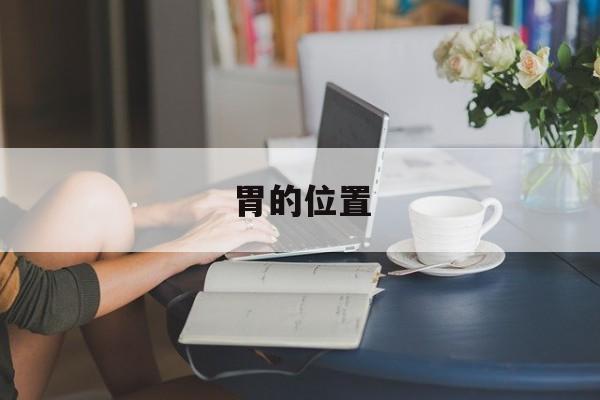 胃的位置:(胃部隐隐约约的疼是怎么回事)