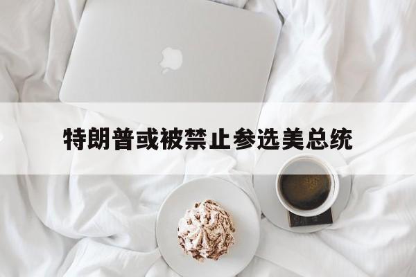 特朗普或被禁止参选美总统的简单介绍