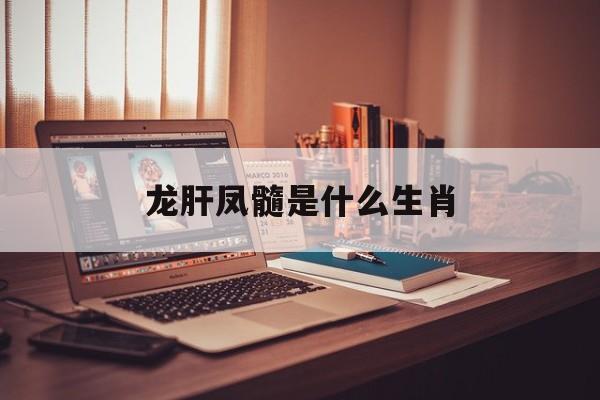 龙肝凤髓是什么生肖:(龙肝凤髓打一最佳生肖)