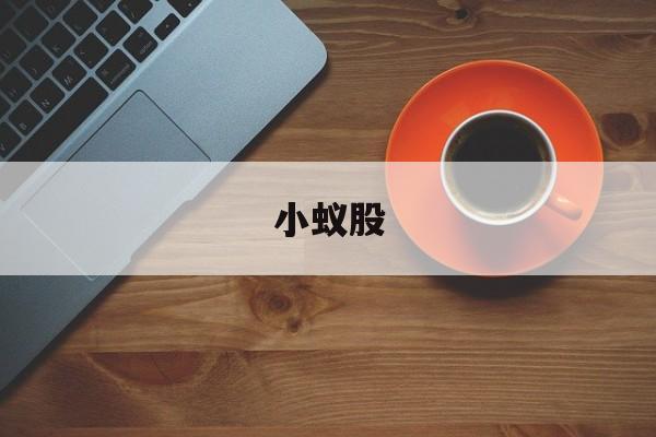 小蚁股:(科大讯飞股票)