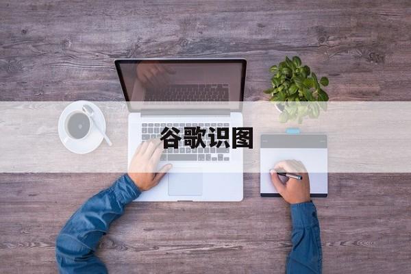 谷歌识图:(识别图片中的人物)